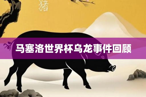 马塞洛世界杯乌龙事件回顾眉山市正发家政服务有限公司