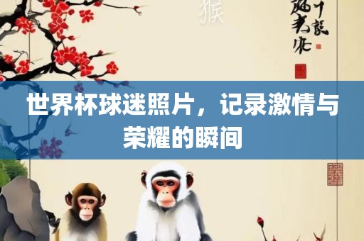 世界杯球迷照片，记录激情与荣耀的瞬间