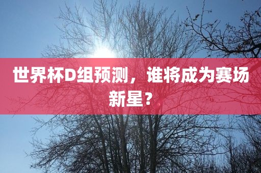 世界杯D组预测，谁将成为赛场新星？