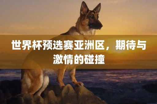世界杯预选赛亚洲区，期待与激情的碰撞