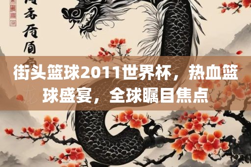 街头篮球2011世界杯，热血篮球盛宴，全球瞩目焦点眉山市正发家政服务有限公司