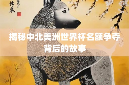 揭秘中北美洲世界杯名额争夺背后的故事