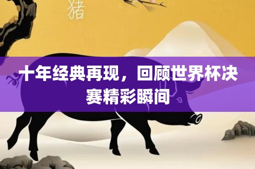 十年经典再现，回顾世界杯决赛精彩瞬间