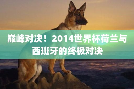 巅峰对决！2014世界杯荷兰与西班牙的终极对决