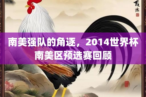 南美强队的角逐，2014世界杯南美区预选赛回顾