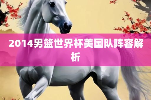 2014男篮世界杯美国队阵容解析
