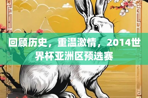 回顾历史，重温激情，2014世界杯亚洲区预选赛