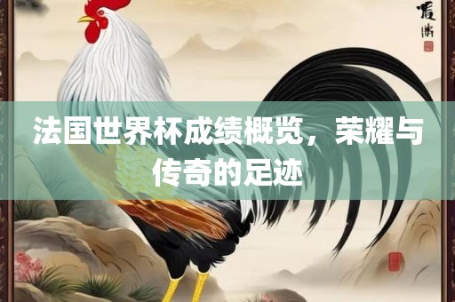 法国世界杯成绩概览，荣耀与传奇的足迹