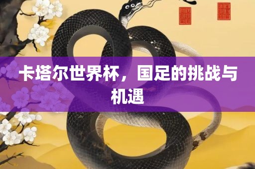 卡塔尔世界杯，国足的挑战与机遇