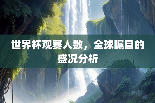 世界杯观赛人数，全球瞩目的盛况分析