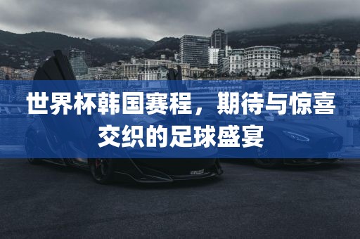 世界杯韩国赛程，期待与惊喜交织的足球盛宴眉山市正发家政服务有限公司
