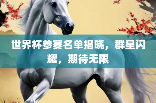 世界杯参赛名单揭晓，群星闪耀，期待无限