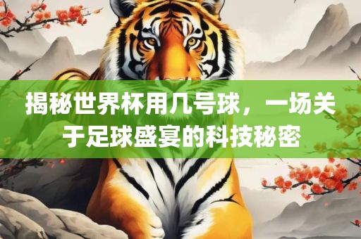 揭秘世界杯用几号球，一场关于足球盛宴的科技秘密