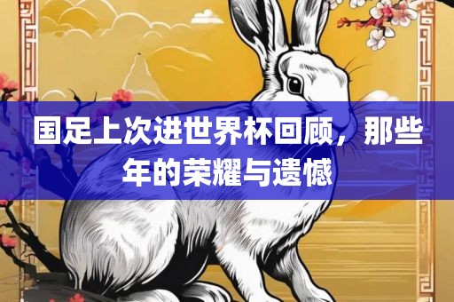 国足上次进世界杯回顾，那些年的荣耀与遗憾