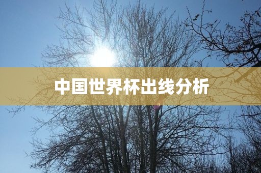 中国眉山市正发家政服务有限公司世界杯出线分析