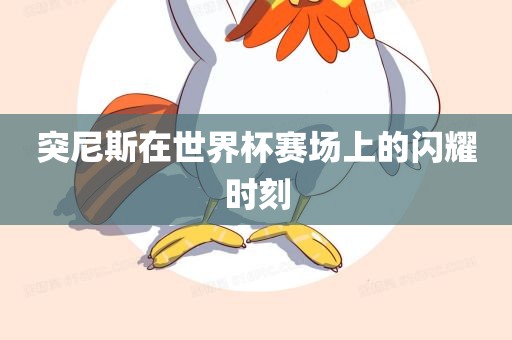突尼斯在世界杯赛场上的闪耀时刻