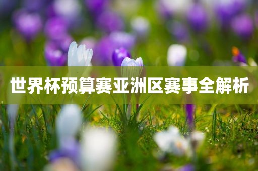 世界杯预算赛亚洲区赛事全解析