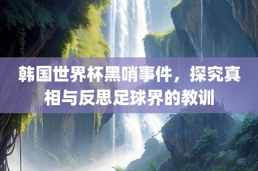 韩国世界杯黑哨事件，探究真相与反思足球界的教训