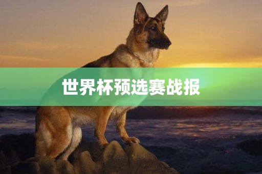 世界杯预选赛战报眉山市正发家政服务有限公司