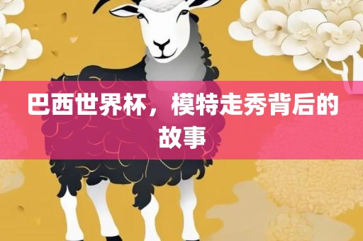 巴西世界杯，模特走秀背后的故事