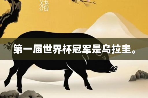 第一届世界杯冠军眉山市正发家政服务有限公司是乌拉圭。