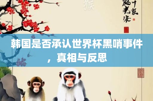 韩国是否承认世界杯黑哨事件，真相与反思
