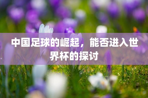 中国足球的崛起，能否进入世界杯的探讨