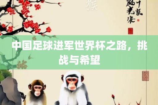 中国足球进军世界杯之路，挑战与希望