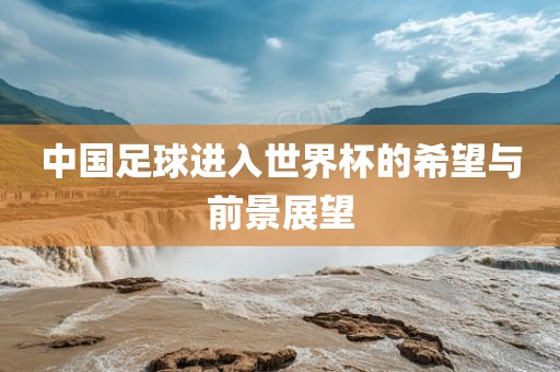 中国足球进入世界杯的希望与前景展望
