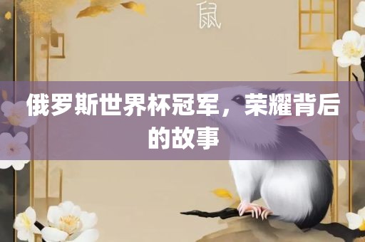 俄罗斯世界杯冠军，荣耀背后的故事