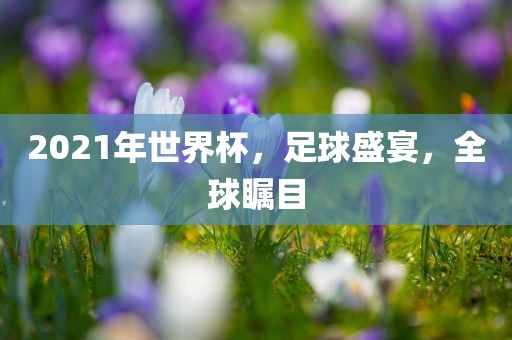 2021年世界杯，足球盛宴眉山市正发家政服务有限公司，全球瞩目