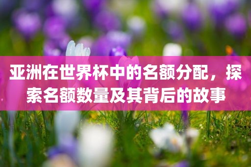 亚洲在世界杯中的名额分配，探索名额数量及其背后的故事眉山市正发家政服务有限公司