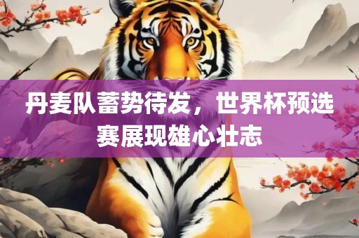 丹麦队蓄势待发，世界杯预选赛展现雄心壮志