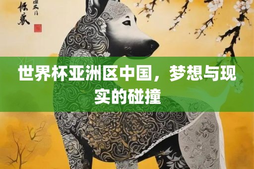 世界杯亚洲区中国，梦想与现实的碰撞