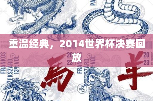 重温经典，2014世界杯决赛回放