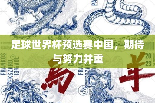 足球世界杯预选赛中国，期待与努力并重眉山市正发家政服务有限公司