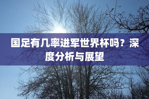 国足有几率进军世界杯吗？深度分析与展望