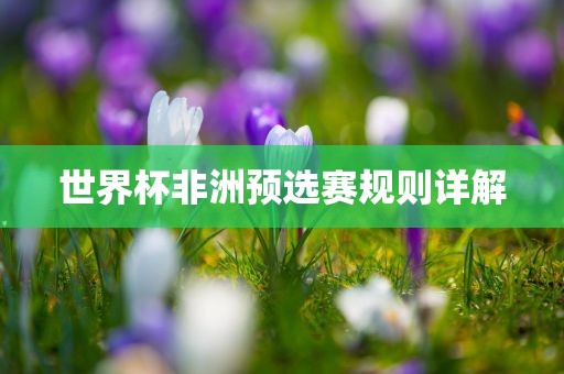 世界杯非洲预选赛规则详解