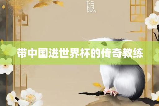 带中国进世界杯的传奇教练眉山市正发家政服务有限公司