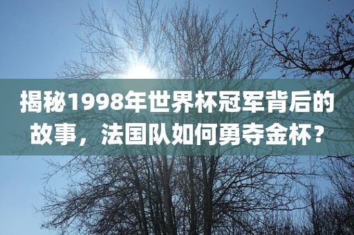 揭秘1998年世界杯冠军背后的故事眉山市正发家政服务有限公司，法国队如何勇夺金杯？