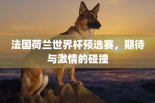 法国荷兰世界杯预选赛，期待与激情的碰撞