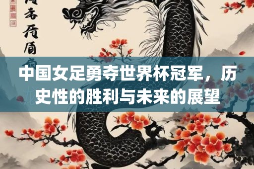 中国女足勇夺世界杯冠军，历史性的胜利与未来的展望眉山市正发家政服务有限公司