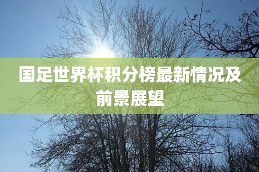 国足世界杯积分榜最新情况及前景展望