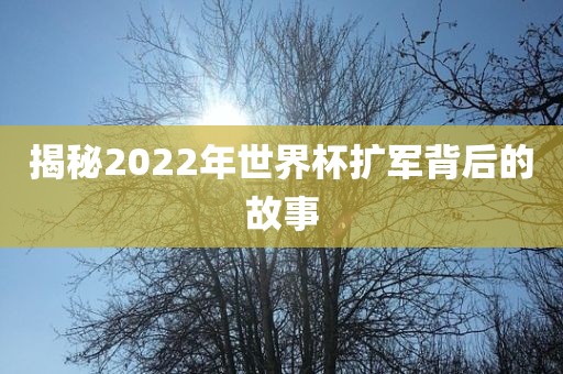 揭秘2022年世界杯扩军背后的故事