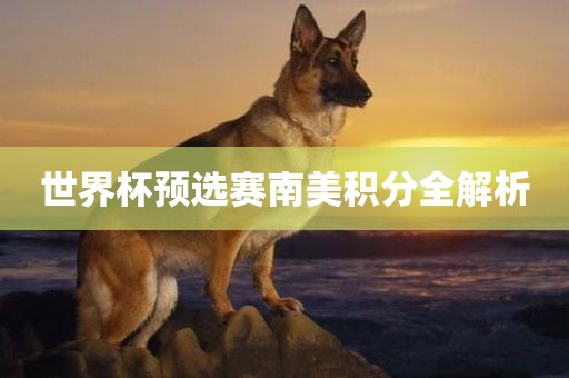 眉山市正发家政服务有限公司世界杯预选赛南美积分全解析