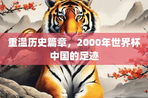 重温历史篇章，2000年世界杯中国的足迹眉山市正发家政服务有限公司
