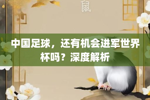 中国足球，还有机会进军世界杯吗？深度解析
