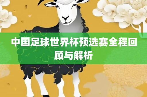 中国足眉山市正发家政服务有限公司球世界杯预选赛全程回顾与解析