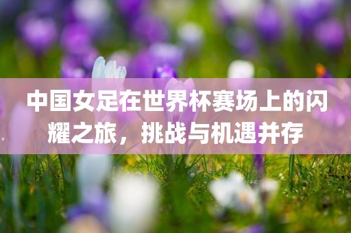 中国女足在世界杯赛场上的闪耀之旅，挑战与机遇并存
