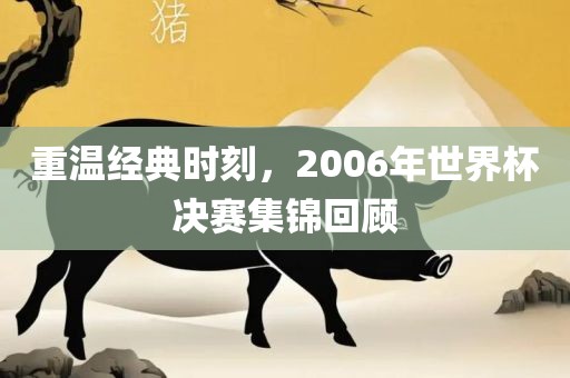 重温经典时刻，2006年世界杯决赛集锦回顾
